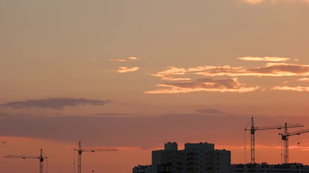 Building and cranes at sunset. — Stock Video