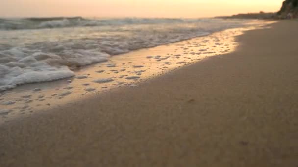 Zbliżenie na seashore. — Wideo stockowe