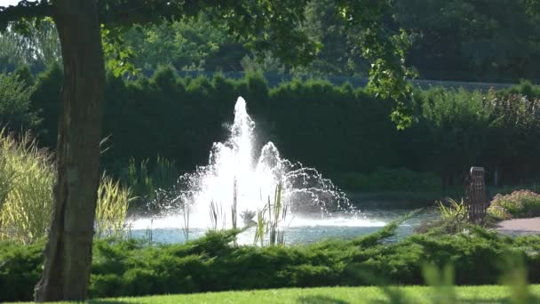 Fuente y naturaleza veraniega . — Vídeo de stock