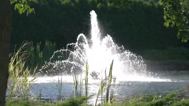 Fontaine en mouvement . — Video