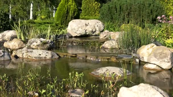 Pond with stones. — Stock Video