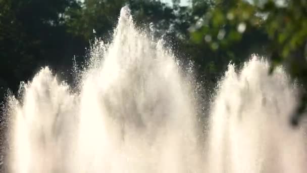 Fonteinen in het water. — Stockvideo