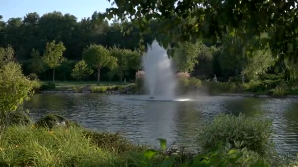건물 및 분수와 연못. — 비디오