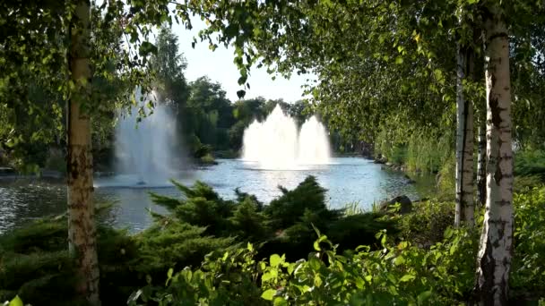 Teich mit Springbrunnen, Sommer. — Stockvideo