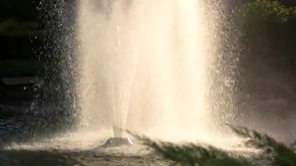 Високий фонтан у русі . — стокове відео