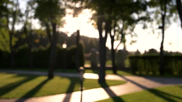 Parc flou et lumière du soleil .