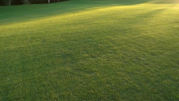 Zielony trawnik i światło słoneczne. — Wideo stockowe