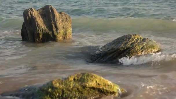 Sea waves and stones. — Stock Video