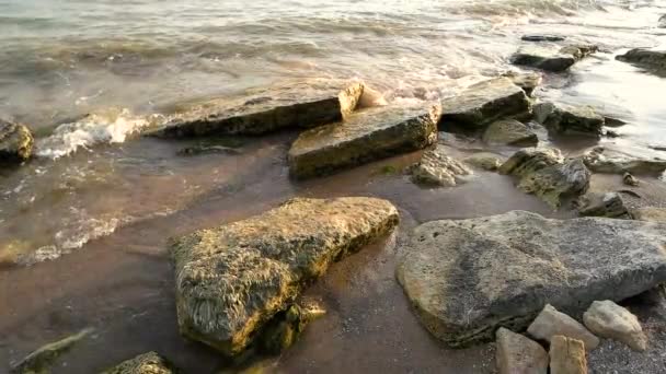 Камни на берегу моря. — стоковое видео
