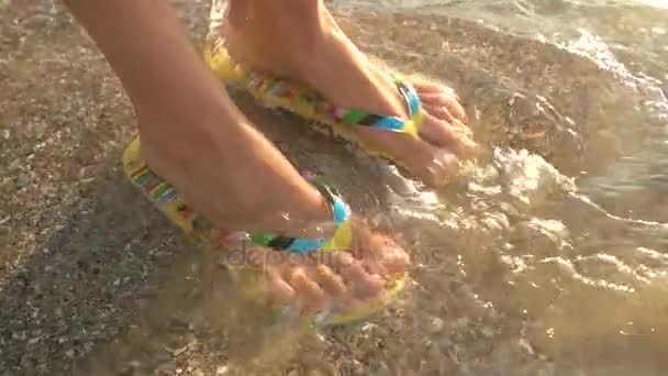 Kvinnliga fötter bär flip-flops. — Stockvideo