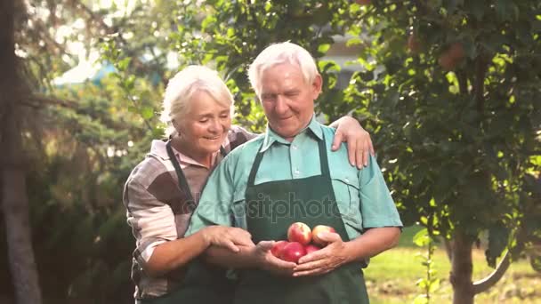 Bejaarde echtpaar met appels. — Stockvideo