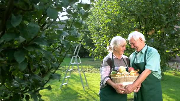 Couple âgé et panier de pommes . — Video