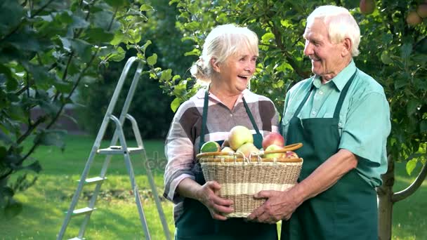 Pareja mayor sosteniendo cesta de manzana . — Vídeos de Stock