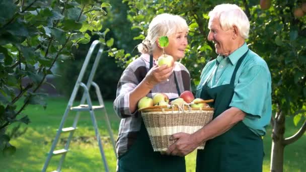 Pareja sosteniendo cesta de manzana . — Vídeos de Stock