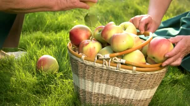 Manos y frutas mayores . — Vídeo de stock