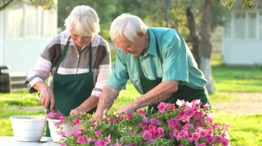 Üst düzey bahçıvanlar çiçek dikim.
