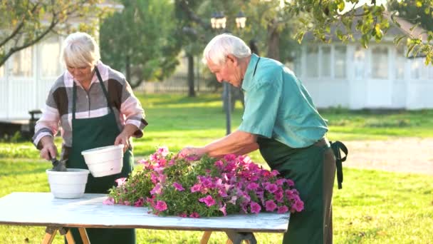 Personer som arbetar med blommor. — Stockvideo