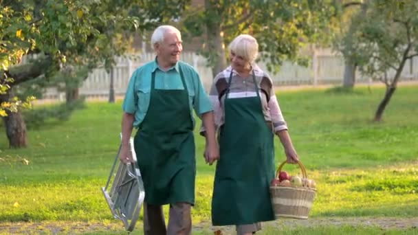 Heureux couple aîné tenant la main — Video