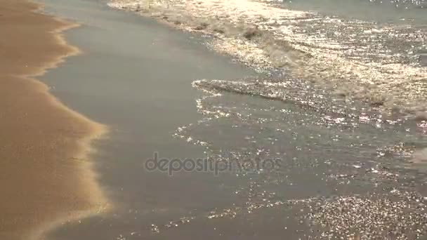 海岸に小さな波。水と砂. — ストック動画