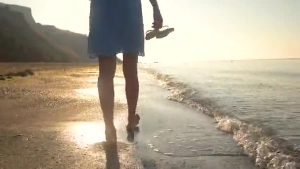 Legs of woman walking, seashore. — Stock Video