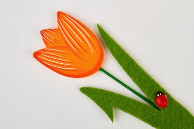 Beyaz arka plan olarak el yapımı Lale.