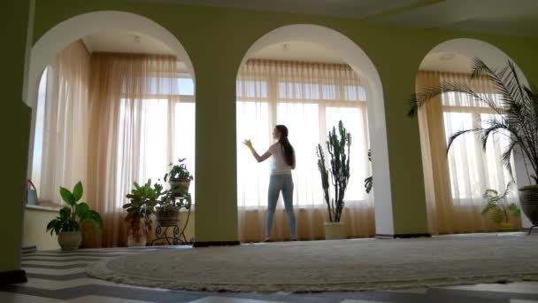 Kvinna tvätta fönster med rengöringsmedel. — Stockvideo