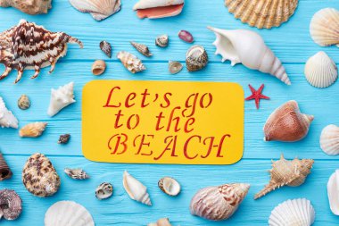 Deniz kabukları, mesaj, mavi arka plan.