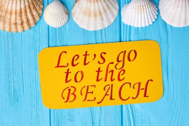 Mavi arka plan üzerinde birkaç istiridye.