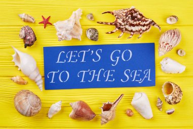 Deniz kabukları yaz kompozisyon.
