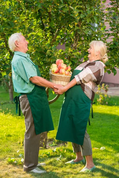 Coppia contenente cesto di frutta . — Foto Stock