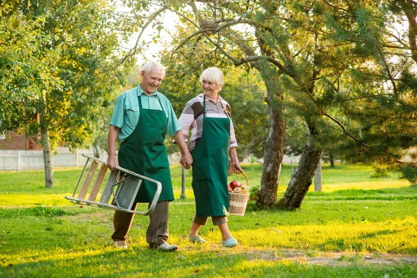 Счастливая старшая пара держится за руки — стоковое фото