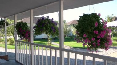 Verandada asılı çiçek.