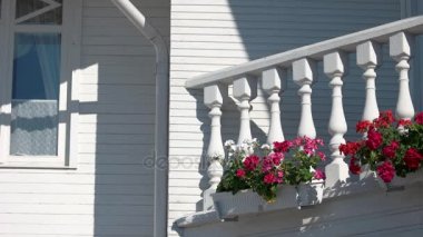 Petunyaların balkon.