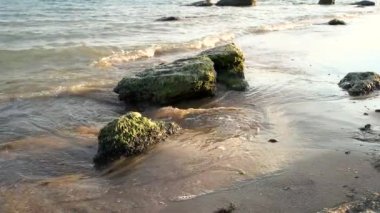 Taşları üzerine kumlu deniz kıyısı.