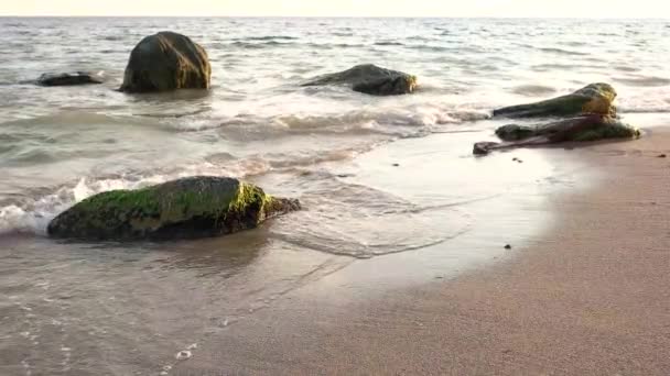 Вода, песок и камни . — стоковое видео