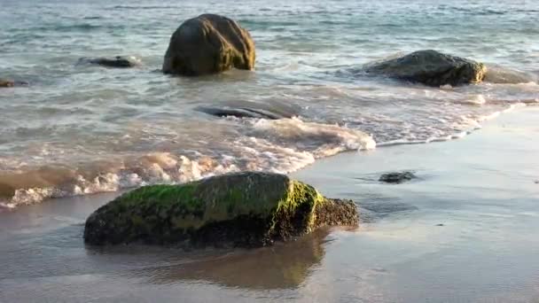 Камни в море. — стоковое видео
