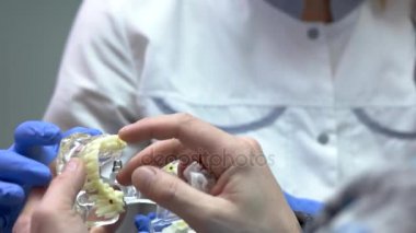 Eller çene modeli ile.