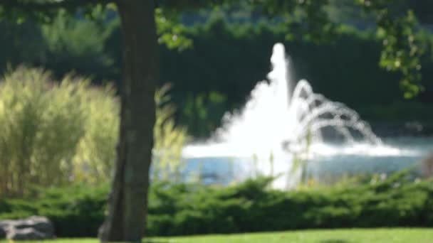 Fontaine et nature estivale, floue . — Video