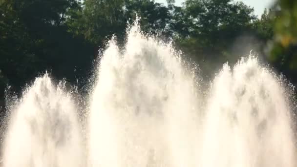 Fonteinen op bomen achtergrond. — Stockvideo