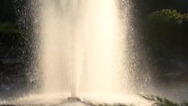 Fontaine haute sur fond d'arbres .
