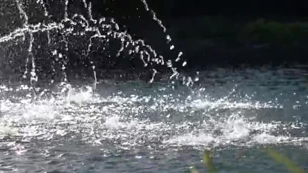 Water streams in slow-mo. — Stock Video