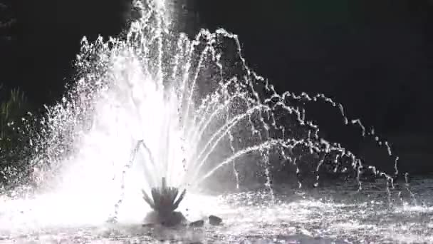 Fontein in slow motion. — Stockvideo