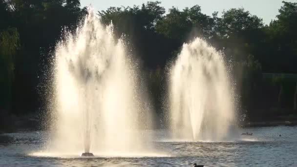 Fonteinen en bomen. — Stockvideo