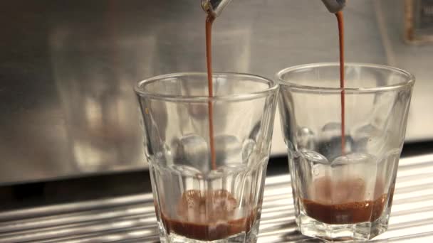 Kaffebryggare fyllning glasögon. — Stockvideo