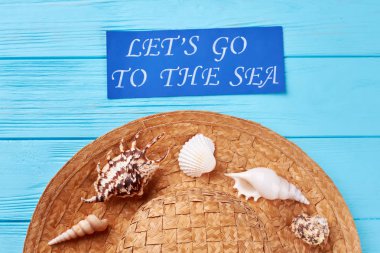 Tatil arka plan, şapkası, deniz kabukları.