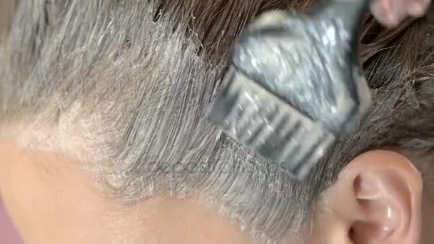 Pincel aplicando tintura de cabelo . — Vídeo de Stock