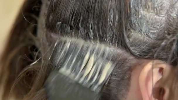 Vlasy barvení makro. — Stock video