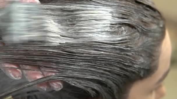 Proceso de teñir el cabello, primer plano . — Vídeo de stock