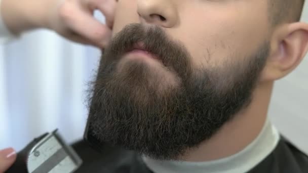 Close up of beard grooming. — Stock Video