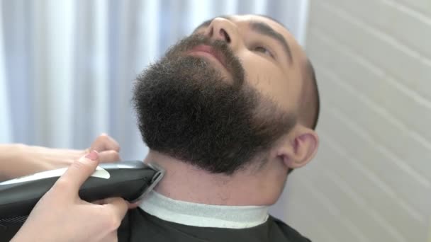 Beard trimming in barber shop. — Stock Video